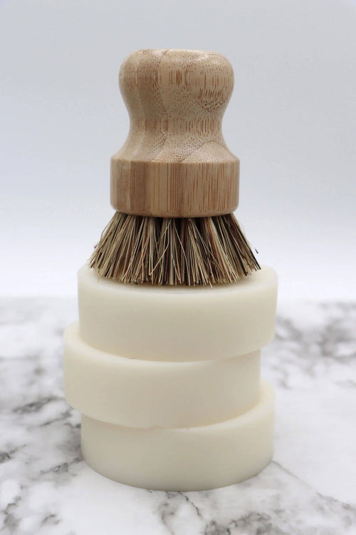 Dish Brush: Coconut Bristles